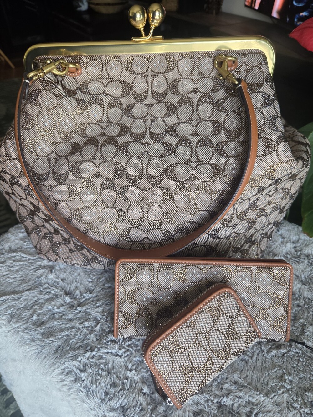 Coach Signature Jacquard Crystal Collection with Crystal Wallet and Card Case